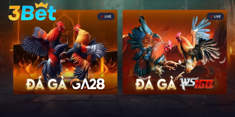 3BET mang đến sòng bạc trực tuyến đúng nghĩa