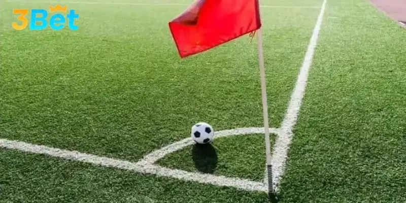 Học hỏi cách xem kèo phạt góc chuẩn xác