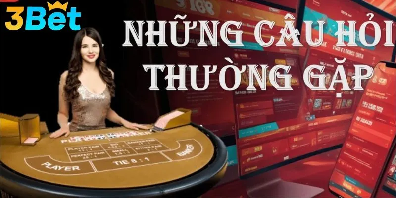 Hỏi đáp 3BET về vấn đề giấy phép hoạt động