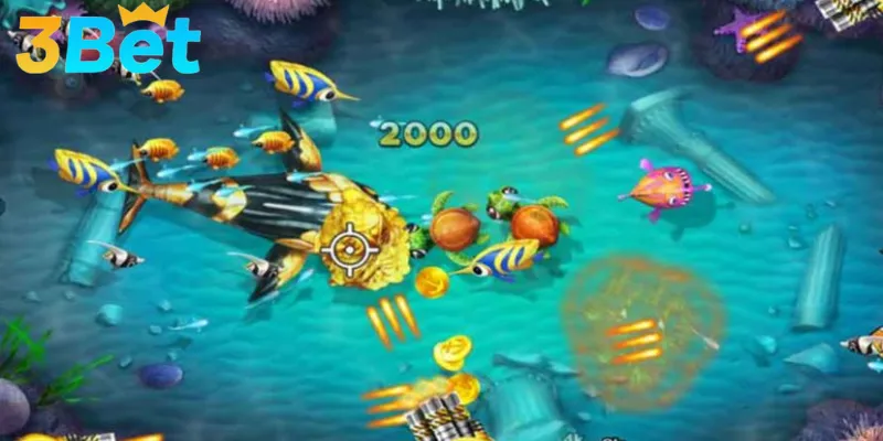 Hiểu đúng và áp dụng chính xác sẽ nâng cao tỷ lệ thành công