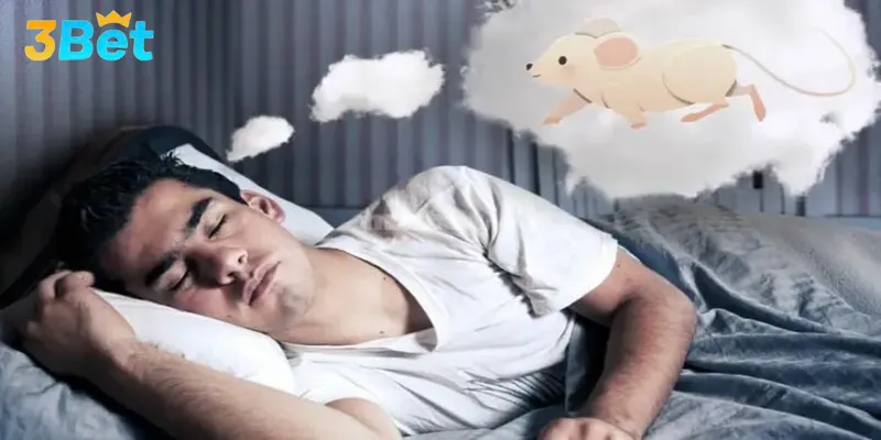 Giấc mơ thấy chuột gắn với điềm báo đặc biệt